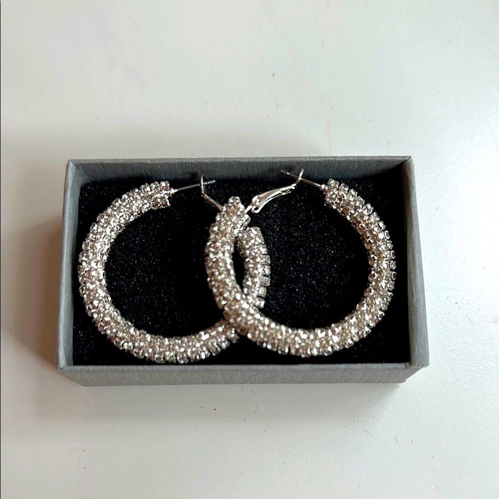 Elegant Silver Hoop Earrings